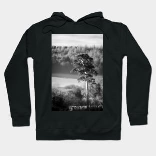 Scots Pine Tree Hoodie